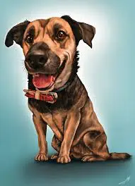 Pet Caricature Drawing Pet Caricature Drawing