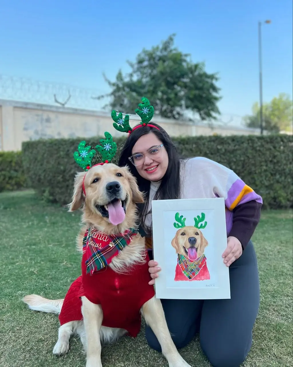 Pet Portrait Pet portrait