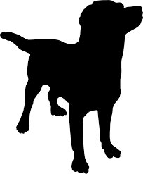 Pet Silhouette Art Pet Silhouette Art