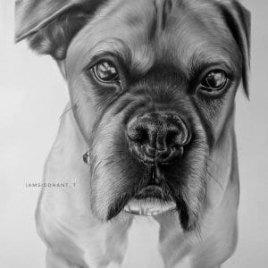 Dog Pencil Portrait Hyper Realistic Portrait-Siddhant