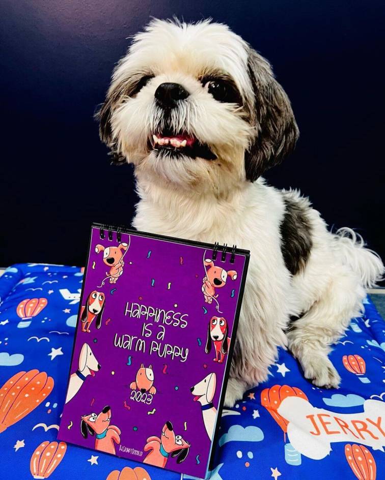 Ashwini - The Grumpy Doodler A card illustration by Ashwini, an inspiring Illustrator in India